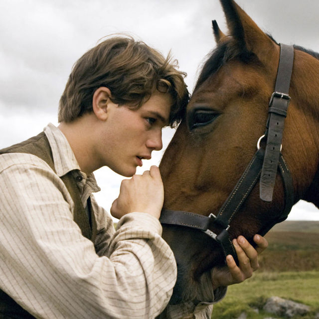War Horse
