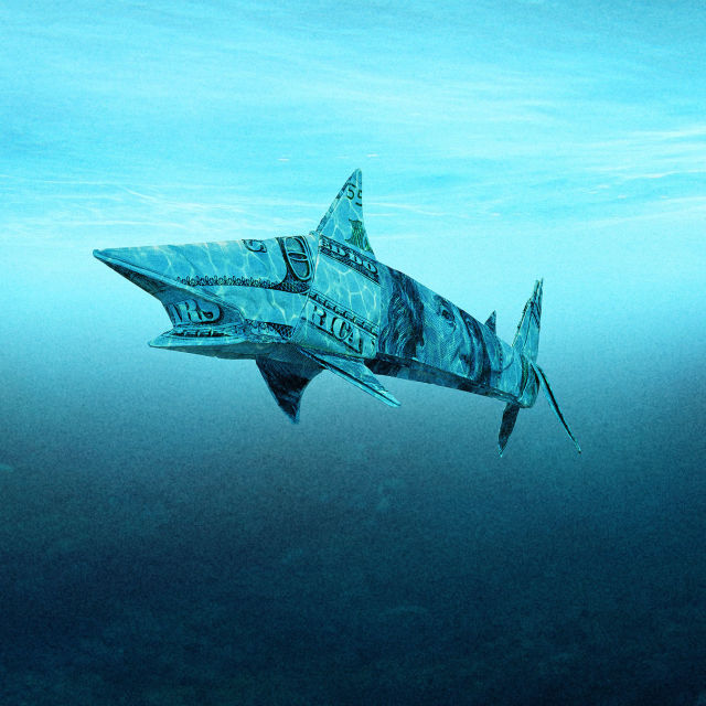 Shark Tank