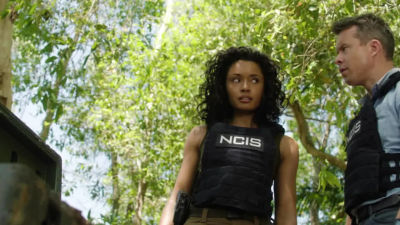 Nova ekipa agentov v Sydneyju se sooča z zločini, ki ogrožajo mesto in obalo