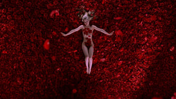 Beleza Americana - 23 de Novembro às 22:20