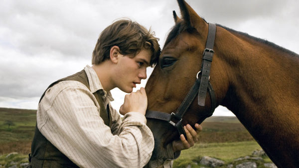 War Horse