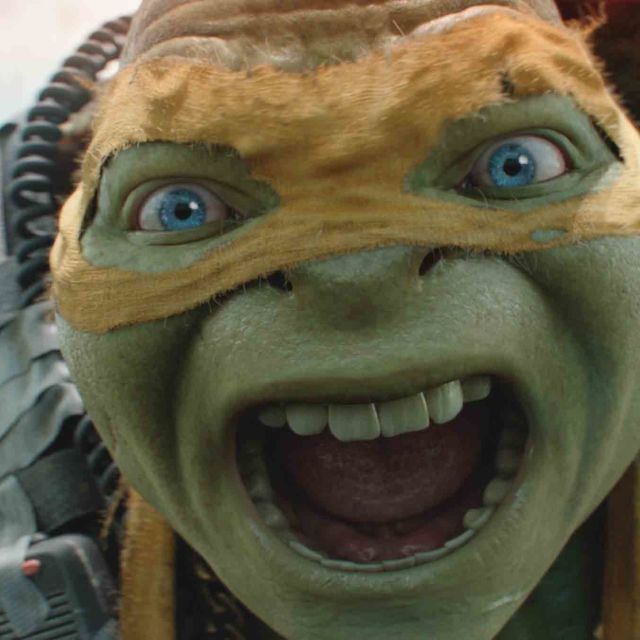 Tortugas ninja