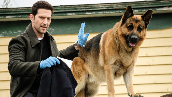 Hudson & Rex