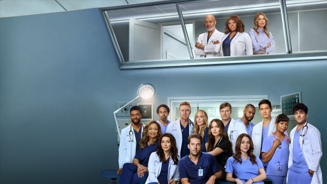 Grey's Anatomy: Chirurdzy