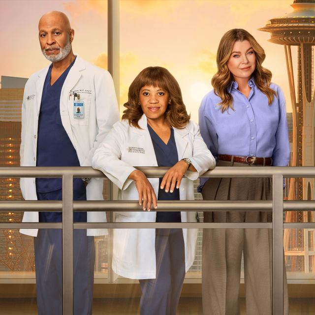 Grey's Anatomy: Chirurdzy