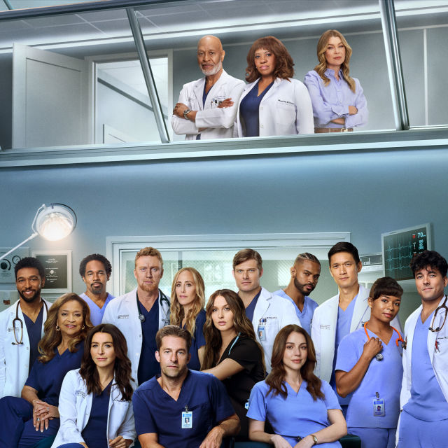 Grey's Anatomy: Chirurdzy