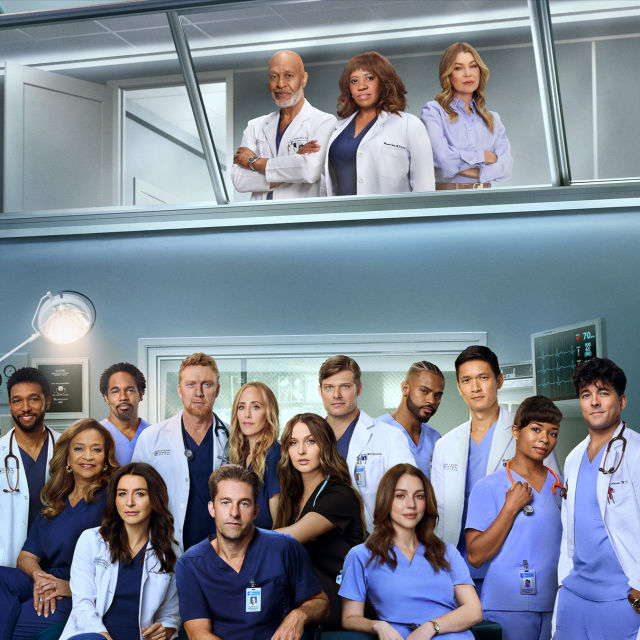 Grey's Anatomy: Chirurdzy
