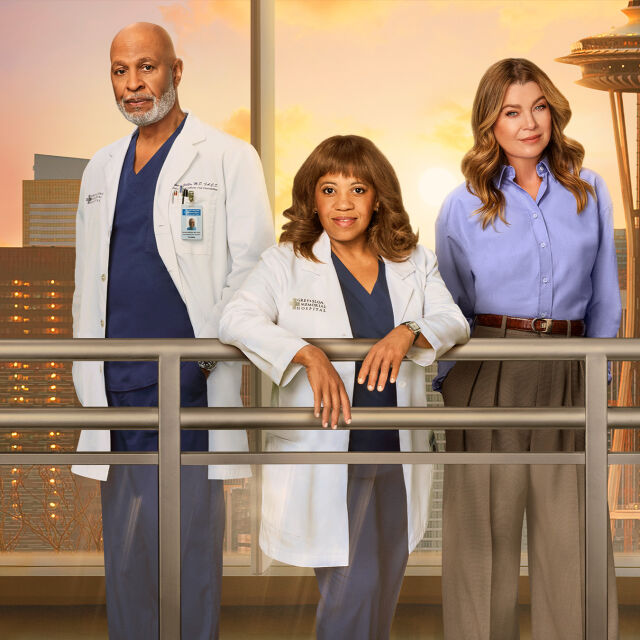 Grey's Anatomy: Chirurdzy