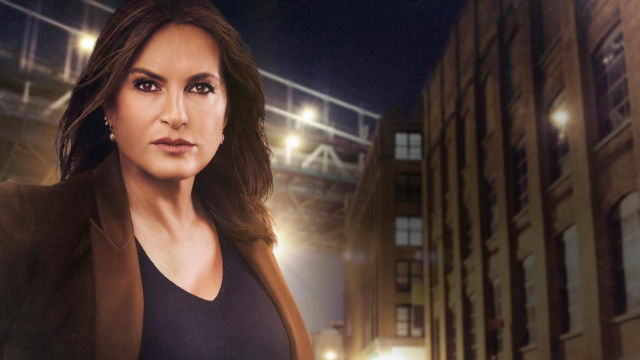 Lei & Ordem: Unidade Especial