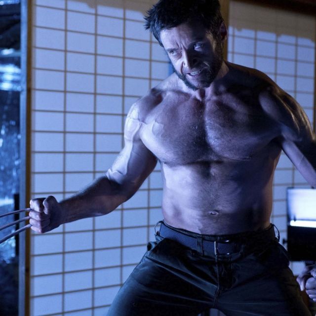 Wolverine