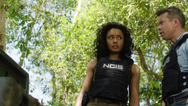 Nova ekipa agentov v Sydneyju se sooča z zločini, ki ogrožajo mesto in obalo