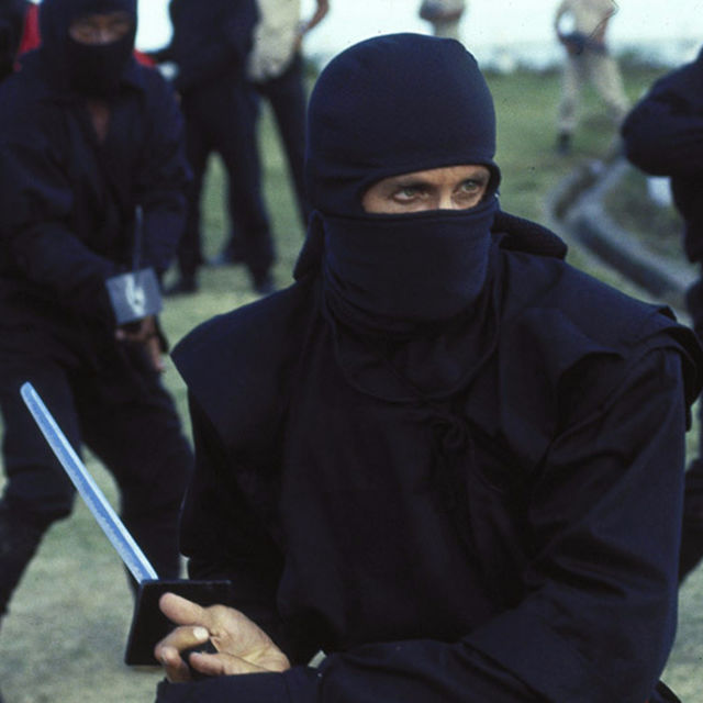 O Regresso do Ninja Americano