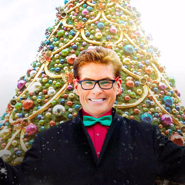 The Christmas Consultant