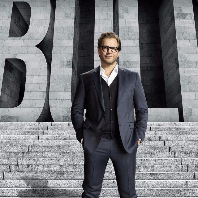 Bull